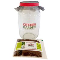 Kitchen Garden Single Sprouter Set - Broccoli Seeds